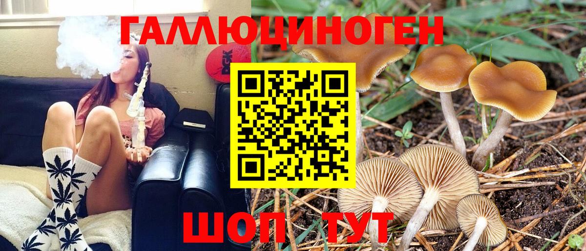 Галлюциногенные грибы GOLDEN TEACHER  Вход с VPN  Минеральные Воды 