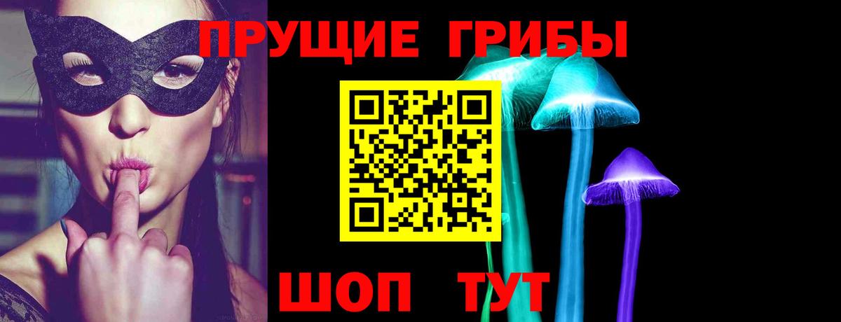 Галлюциногенные грибы Psilocybine cubensis Минеральные Воды